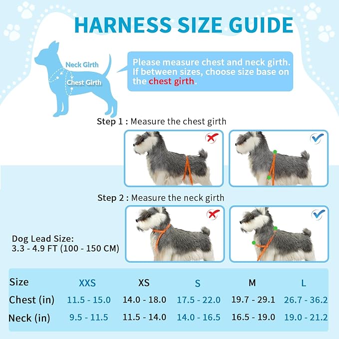 Lukovee No Pull Dog Harness and Leash Set, Soft Padded Small Dog Harness, Neck & Chest Adjustable Reflective Vest Puppy Harness with 4ft Lightweight Anti-Twist Dog Leash for Small Dogs (XXS, Green)