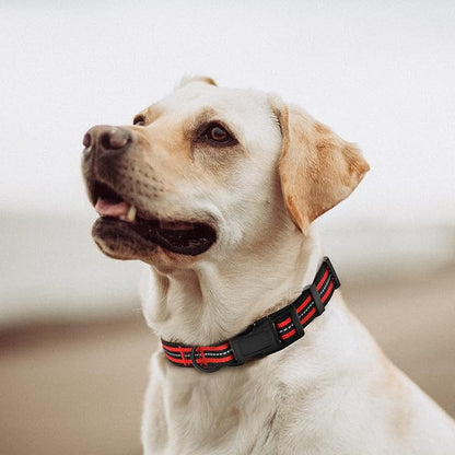 Mile High Life Reflective Dog Collar | Nylon Pet Collars wiith Buckle | Light Weight Puppy Collars | Red Dog Collars for Small Dogs (Red, S)