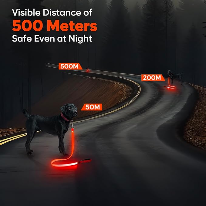 LED Dog Leash, 4 Ft Light Up, USB Rechargeable, Waterproof, Nylon Reflective with Padded Handle, Safety Glow in The Dark for Large, Medium, Small Pets (Orange)