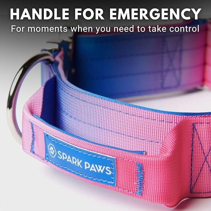 Spark Paws Tactical Dog Collar with Handle - Premium Quality Collar, Robust and Durable Design for Large, Strong Breeds - Pitbulls, Labradors, GSD - Snow Cone - L -1.5"