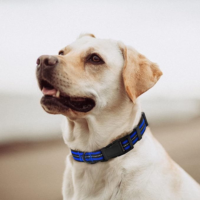 Mile High Life Reflective Dog Collar | Nylon Pet Collars wiith Buckle | Light Weight Puppy Collars | Blue Dog Collars for Large Dogs (Blue, L)