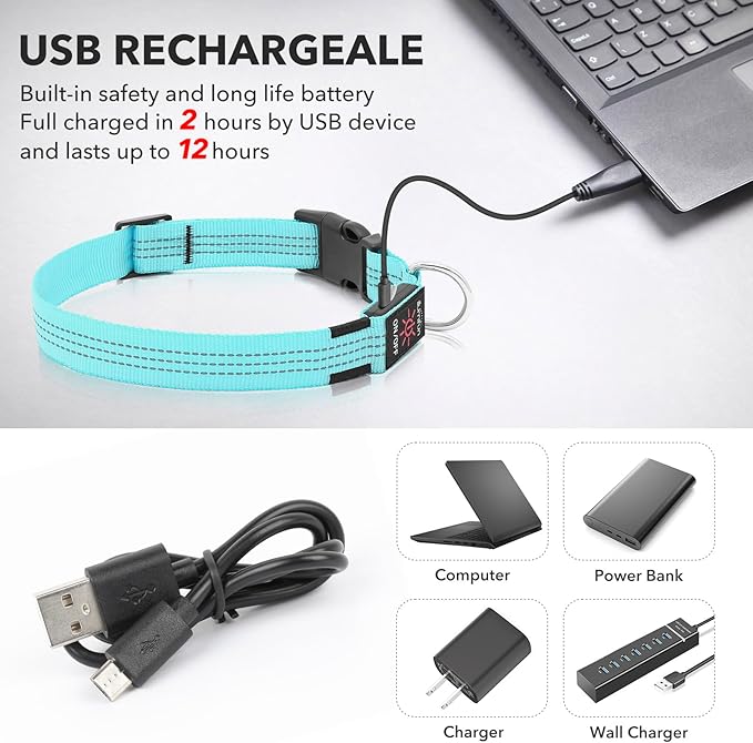 Illumifun LED Dog Collar - USB Rechargeable Dog Light Up Collar, Reflective Pet Collar Light Glow in The Dark (Blue?? Medium)