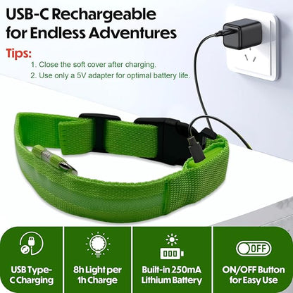 Light Up Dog Collar ??Reflective, Adjustable, Rechargeable Electronic Glow Pet Collars ??Bright, Comfortable, High Visibility LED Dog Collar for Night Safety, Outdoor Walk, Flashing Fun, Green, Medium