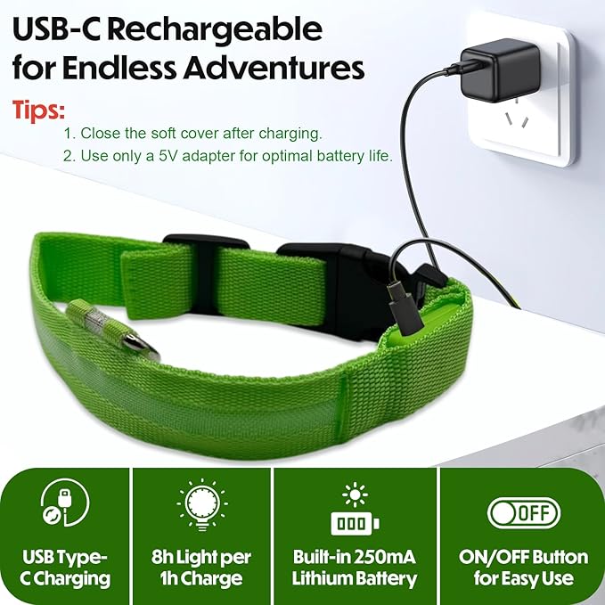 Light Up Dog Collar ??Reflective, Adjustable & Rechargeable Electronic Glow Pet Collars ??Bright, Comfortable, High Visibility LED Dog Collar for Night Safety, Outdoor Walk, Flashing Fun, Green, Large