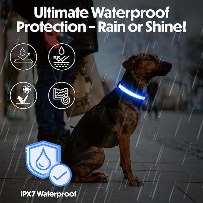 Light Up Dog Collar ??Reflective, Adjustable & Rechargeable Electronic Glow Pet Collars ??Bright, Comfortable, High Visibility LED Dog Collar for Night Safety, Outdoor Walk & Flashing Fun, Blue, Large