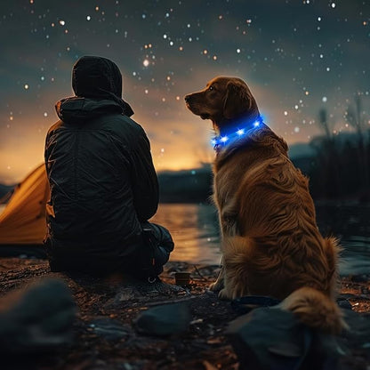 HIGO Light Up Dog Collar - 2-Pack Silicone LED Rechargeable, Safety Light, Glow in The Dark Lighted Necklace for Small Medium Large Dogs (Blue)