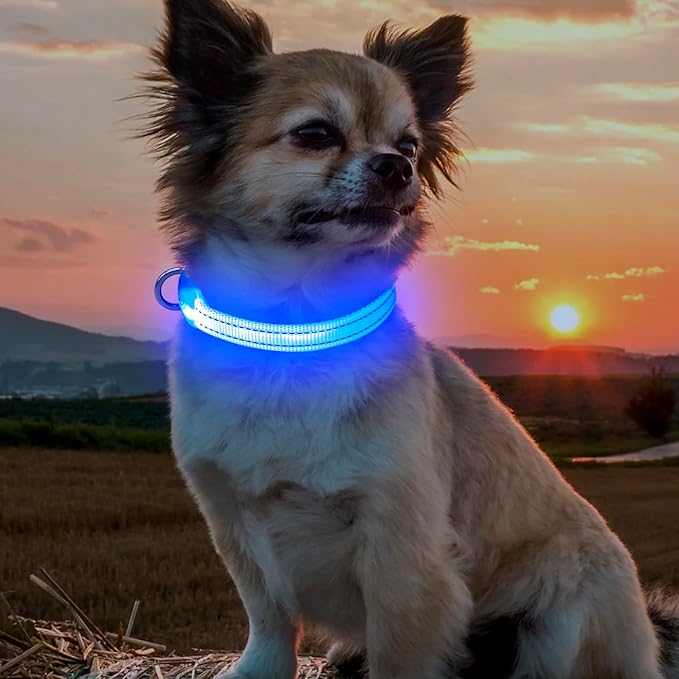 BSEEN Light Up Dog Collar, Rechargeable LED Dog Collar Reflective Glowing Pet Collar for Puppies & Cats, Safety Dog Lights for Night Walking (Blue)