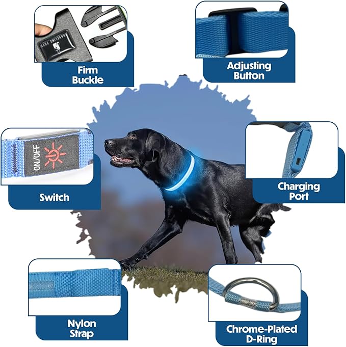 Light Up Dog Collar ??Reflective, Adjustable & Rechargeable Electronic Glow Pet Collars ??Bright, Comfortable, High Visibility LED Dog Collar for Night Safety, Outdoor Walk & Flashing Fun, Blue, Large