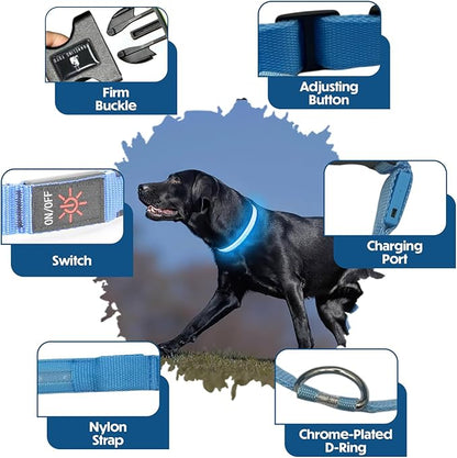 Light Up Dog Collar ??Reflective, Adjustable & Rechargeable Electronic Glow Pet Collars ??Bright, Comfortable, High Visibility LED Dog Collar for Night Safety, Outdoor Walk & Flashing Fun, Blue, Large