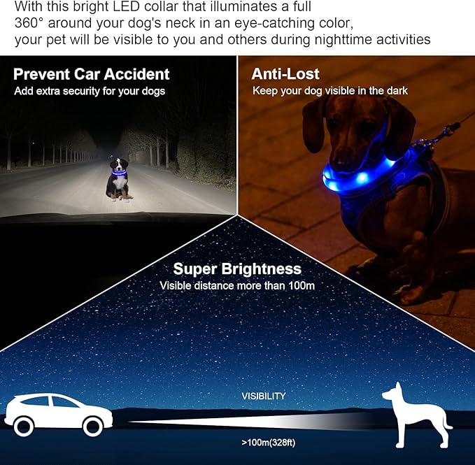 CHUKCHI LED Dog Collar Rechargeable,Waterproof Flashing Collar,Light Up Glow Collar, Adjustable Soft Safety Light Up for Small Medium Large Dogs Walking Camping at Night (Blue-M)