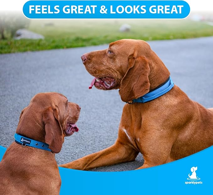 SparklyPets Heavy Duty Dog Collar with Handle for Medium and Large Dogs ??Professional Collar with Reflective Stitches, Soft Handle & Nickel-Plated Buckle (Large (18"~22"), Blue)