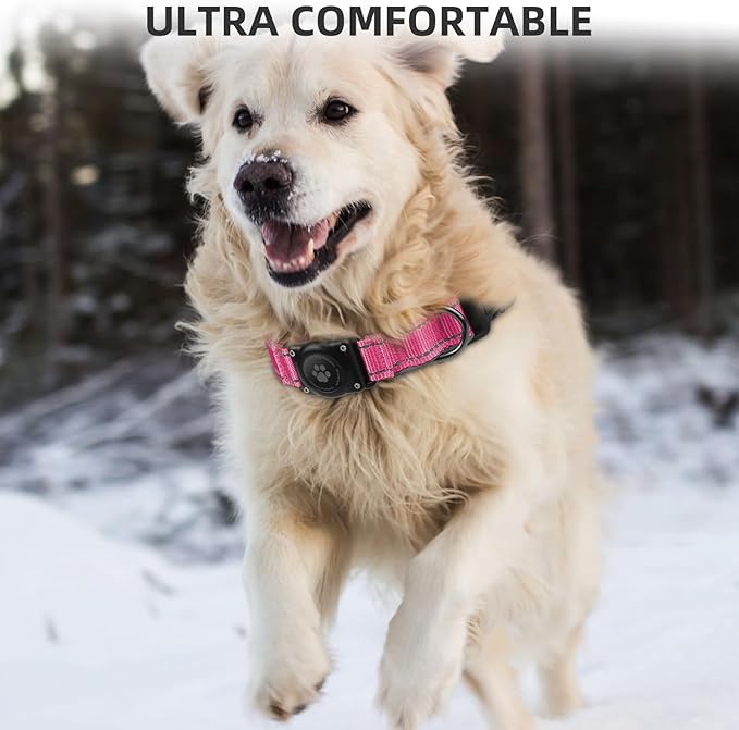 Airtag Dog Collar - 100% Waterproof AirTag Holder, Reflective, Soft Padded, Everlasting GPS Collar for Small to Large Dogs (Hot Pink, M)