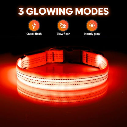 Illumifun LED Dog Collar USB Rechargeable Light Up Dog Collar, Reflective Pet Safety Collar Light Glow in The Dark (Orange?? Medium)