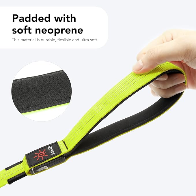 Colaseeme Light Up Dog Leash, LED Pet Leashes USB Rechargeable, Glow Safety Dogs Lights at Night (4FT,Green & Reflective Wires)