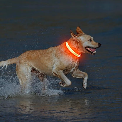Illumifun USB Rechargeable LED Dog Collar, Light Up Dog Collar for Small Dogs, Reflective Adjustable Safety Dog Collar Lights for Night Walking (Orange?? Small)