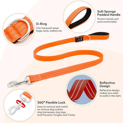 LED Dog Leash, 4 Ft Light Up, USB Rechargeable, Waterproof, Nylon Reflective with Padded Handle, Safety Glow in The Dark for Large, Medium, Small Pets (Orange)