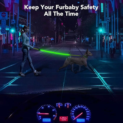 Colaseeme Light Up Dog Leash, LED Pet Leashes USB Rechargeable, Glow Safety Dogs Lights at Night (4FT,Green & Reflective Wires)