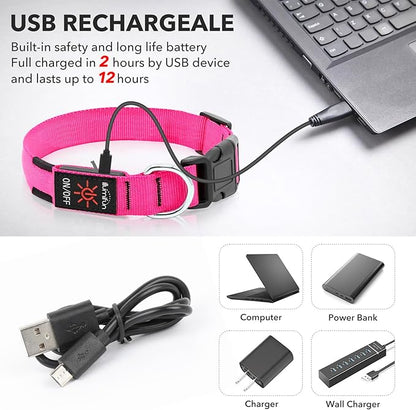 Illumifun LED Dog Collar, USB Rechargeable Light Up Dog Collars, Waterproof Adjustable Safety Collar Light for Small Dogs Walking at Night (Pink, Small)