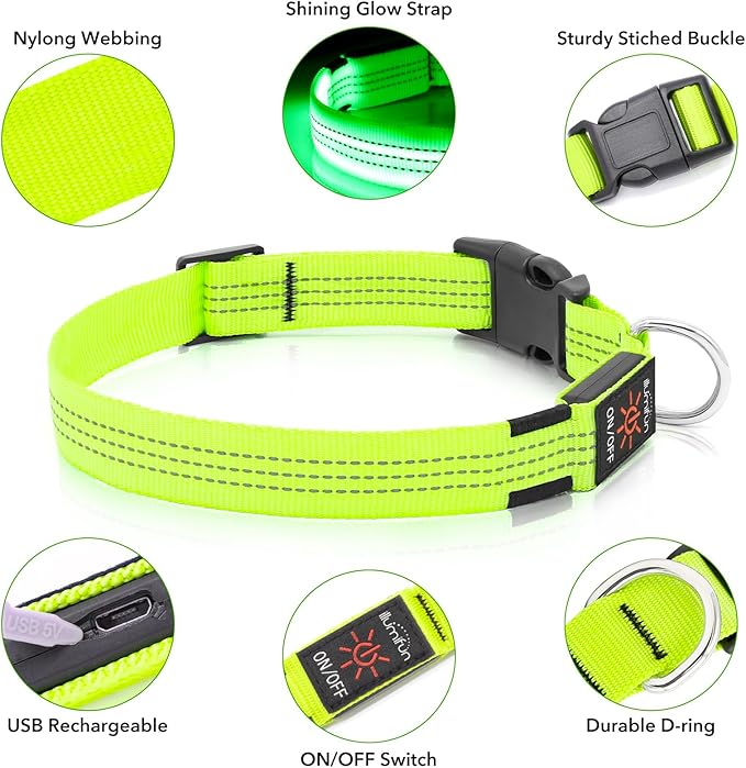 Illumifun Light Up Dog Collar - USB Rechargeable LED Dog Collar, Adjustable Lighted Pet Safety Collar for Night Walking (Green?? Small)