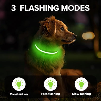 Light Up Dog Collar, Adjustable USB Rechargeable Glow in Dark Dog Collar ，Waterproof Dog Collars for Small Dogs (Green, Small)