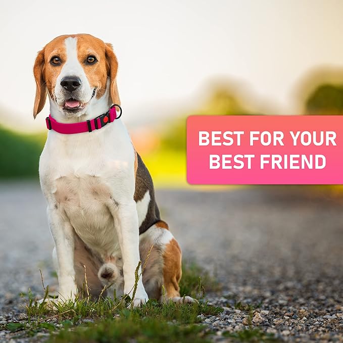 Adjustable Dog Collar with Safety Lock Buckle - Made in USA - Honeycomb Waterproof Heavy Duty Dog Collars for Medium Large Dogs - Odor Proof Pet Collar for Dogs with Strong Zinc D Ring (3/4", Pink)