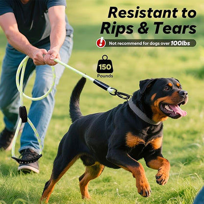 Colaseeme Light Up Dog Leash, LED Pet Leashes USB Rechargeable, Glow Safety Dogs Lights at Night (5FT,Multi-Color)