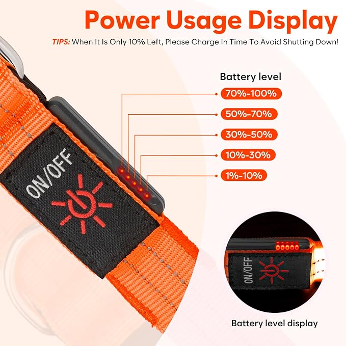 LED Dog Leash, 4 Ft Light Up, USB Rechargeable, Waterproof, Nylon Reflective with Padded Handle, Safety Glow in The Dark for Large, Medium, Small Pets (Orange)