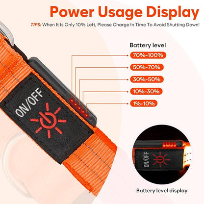 LED Dog Leash, 4 Ft Light Up, USB Rechargeable, Waterproof, Nylon Reflective with Padded Handle, Safety Glow in The Dark for Large, Medium, Small Pets (Orange)