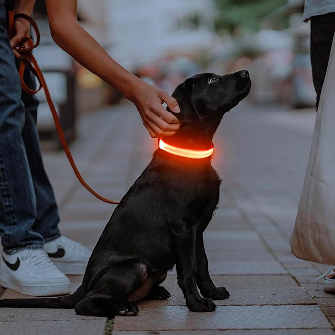 Illumifun Light Up Collar for Dogs, USB Rechargeable LED Dog Collar, Adjustable Safety Collar Light for Walking at Night (Orange, Large)