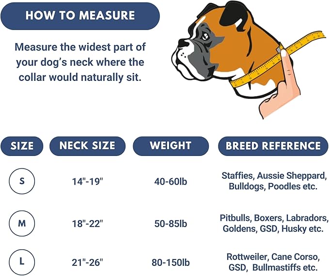 Spark Paws Tactical Dog Collar - Heavy Duty, Premium Quality, Thick and Durable for Large and Medium Dogs - Purple - M - 1.5"