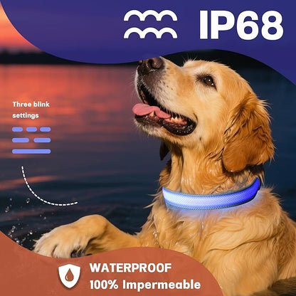 DOGWONG LED Dog Collar - Heavy Duty Light up Collars - Rechargeable Waterproof - Lighted Dog Collar for Night Walking, Hiking, Camping(Blue,M)