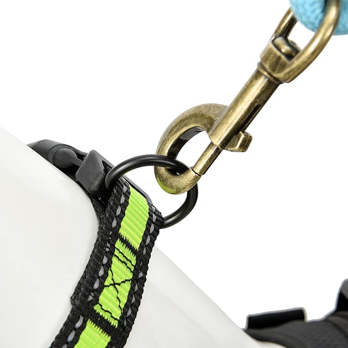 Mile High Life Dog Collar | Nylon Reflective Dog Collars | Light Weight Puppy Collars | Lime Green Dog Collars for Small Dogs (Lime Green, X-Small)