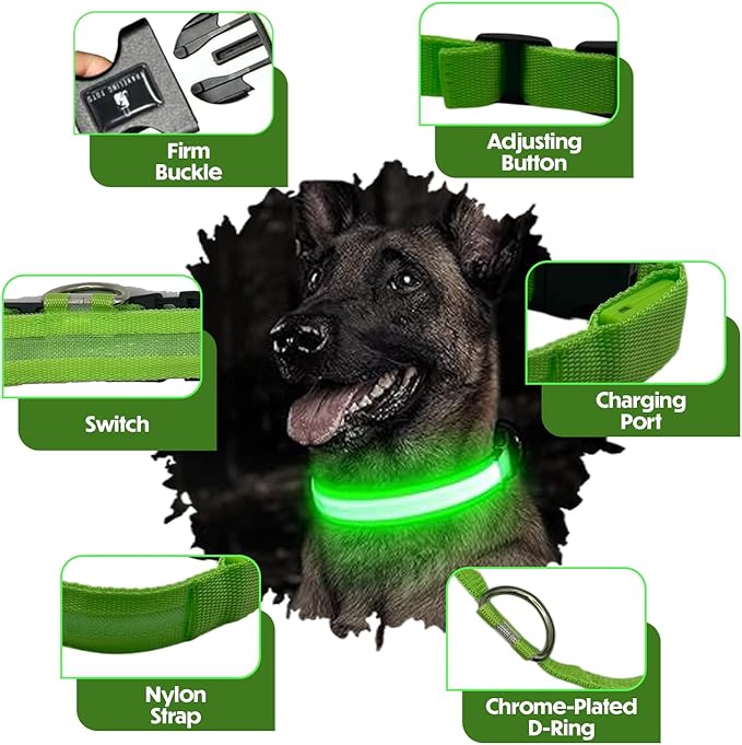 Light Up Dog Collar ??Reflective, Adjustable & Rechargeable Electronic Glow Pet Collars ??Bright, Comfortable, High Visibility LED Dog Collar for Night Safety, Outdoor Walk, Flashing Fun, Green, Large