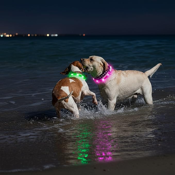 Light Up Dog Collar, Rechargeable Glowing Dog Collar, Light Dog Collar for Night Walking with 1640 FT of Visibility - Brightest LED Dog Collar Light, 3 Flashing Modes, Keeps Your Pets Safe in The Dark