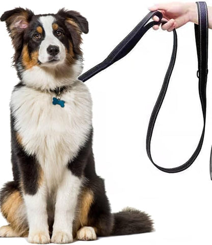 Solmoony 4FT Blue Strong Dog Leash with 2 Padded Handles, Traffic Handle Extra Control, Double-Sided Reflective Walking Lead for Small Medium and Large Dogs(Blue, 4FT)