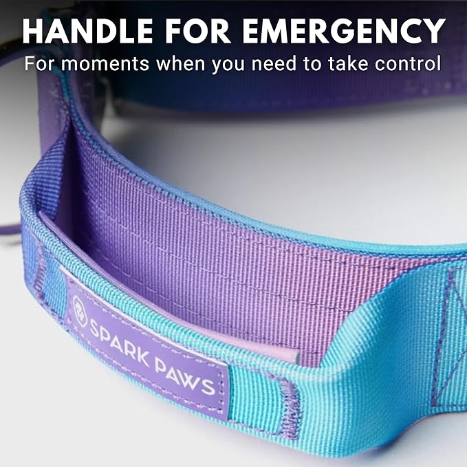 Spark Paws Tactical Dog Collar - Heavy Duty, Premium Quality, Thick and Durable for Large and Medium Dogs - 90s Retro - S - 1.5"