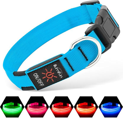 Illumifun LED Dog Collar, USB Rechargeable Light Up Collar Glow in The Dark, Adjustable Safety Pet Light for Your Pups Walking at Night (Blue, Small)