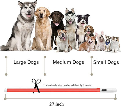 LED Dog Collar,USB Rechargeable Glowing Dog Collars, Light Up Collar Improved Pet Safety &Visibility at Night, 3 Flashing Modes,Water-Resistant LED Lighted Fits for Small Medium Large Dogs