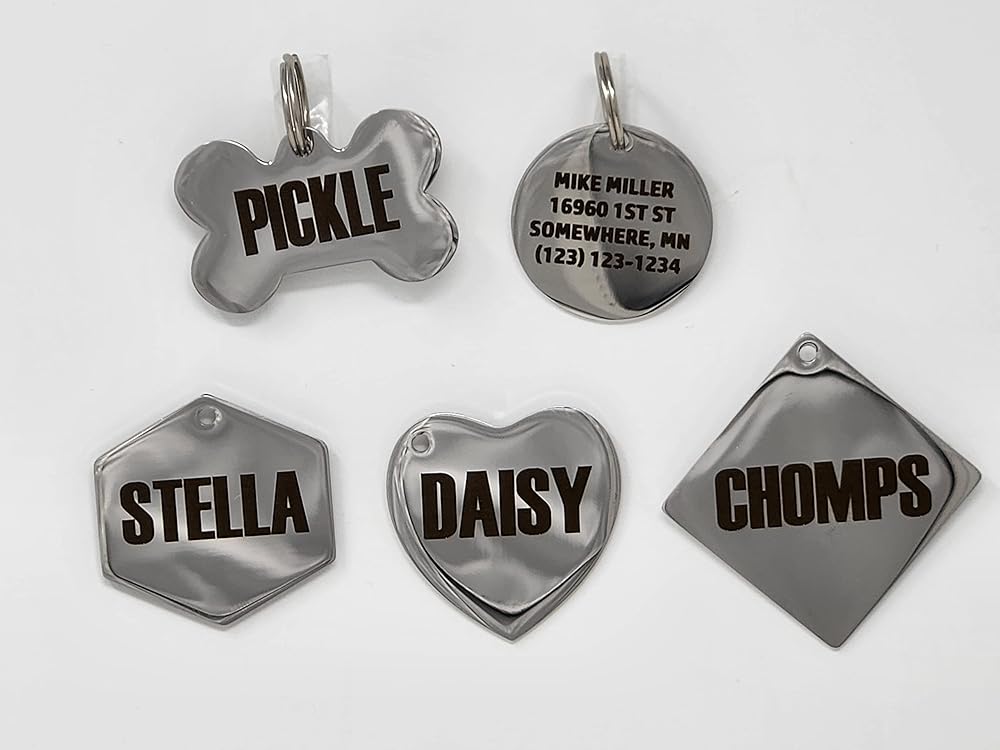 Dr. Fremont's Stainless Steel ID Dog Tags Engraved for Pets Personalized for Cat or Dog Collar Bold Font for Safety (Large, Round)