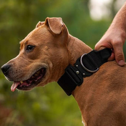 Spark Paws Tactical Dog Collar - Heavy Duty, Premium Quality, Thick and Durable for Large and Medium Dogs - Black - XS - 1"