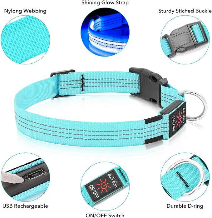 Illumifun LED Dog Collar - USB Rechargeable Dog Light Up Collar, Reflective Pet Collar Light Glow in The Dark (Blue?? Medium)