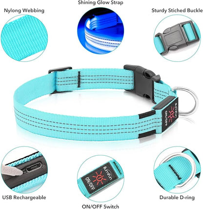 Illumifun LED Dog Collar - USB Rechargeable Dog Light Up Collar, Reflective Pet Collar Light Glow in The Dark (Blue?? Medium)