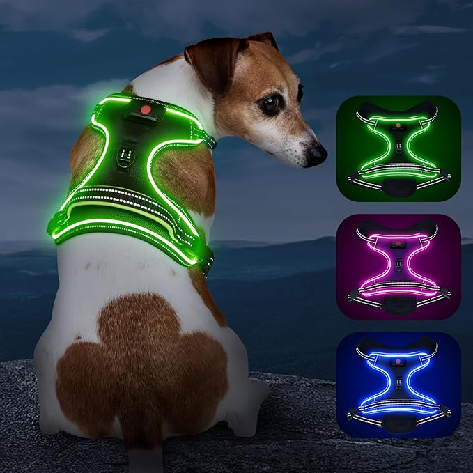 Light Up Dog Harness, No Pull LED Dog Harness with Handle, Rechargeable Lighted Safety Vest for Small Medium Large Dogs, Adjustable Soft Dog Lights for Night Walking