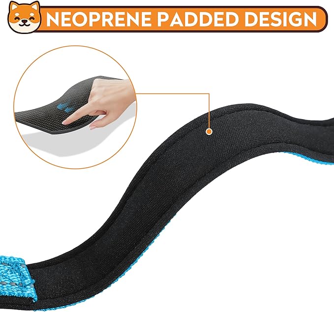 Reflective Dog Collar, Adjustable Soft Neoprene Padded Nylon Pet Collars with Buckle for Medium Dogs, Sky Blue,M