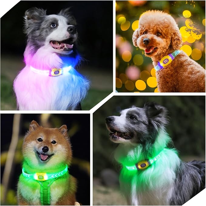 LaRoo LED Light Up Dog Collar, Multi-Color Glowing Safety Pet Collar, USB Rechargeable, Adjustable, Night Walk High Visibility Collar Safety Dog Light for Small Medium Dogs(Pink)