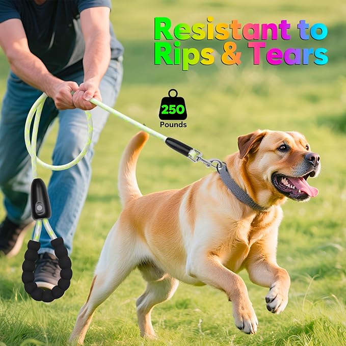 YFbrite Waterproof Light up Dog Leash with 15 Flashing Modes - Super Bright LED Dog Leash for Small Medium Large Dogs - Type-c Rechargeable Dogs Leashes Light (Multi-Color, 5FT (150cm))