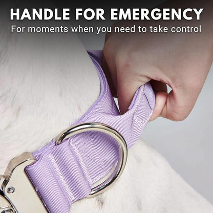 Spark Paws Tactical Dog Collar - Heavy Duty, Premium Quality, Thick and Durable for Large and Medium Dogs - Purple - L - 1.5"