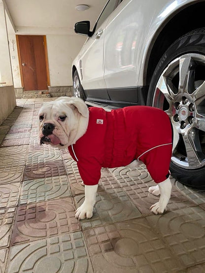 Dogs Waterproof Jacket, Lightweight Waterproof Jacket Reflective Safety Dog Raincoat Windproof Snow-Proof Dog Vest for Pugs English French Bulldog American Pit Bull Red B-L