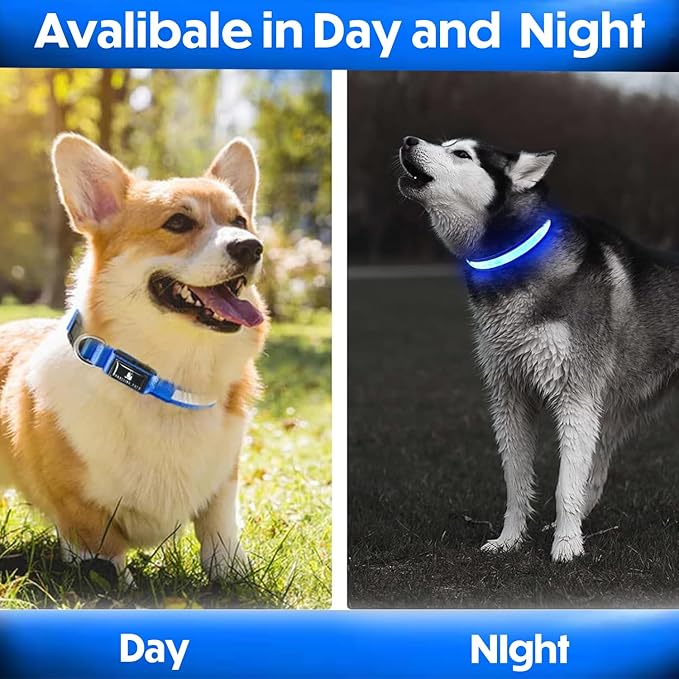 Light Up Dog Collar ??Reflective, Adjustable & Rechargeable Electronic Glow Pet Collars ??Bright, Comfortable, High Visibility LED Dog Collar for Night Safety, Outdoor Walk, Flashing Fun, Blue, Medium