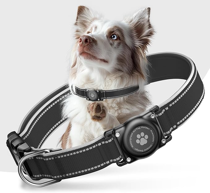 Airtag Dog Collar - 100% Waterproof AirTag Holder, Reflective, Soft Padded, Everlasting GPS Collar for Small to Large Dogs (Black, M)